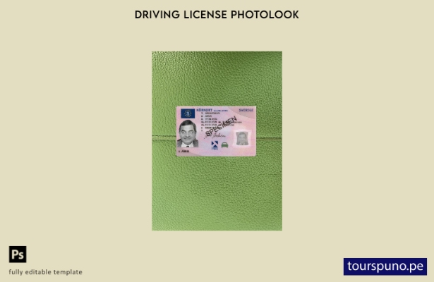listo para imprimir licencia de conducir de Suecia presente plantilla frontal de